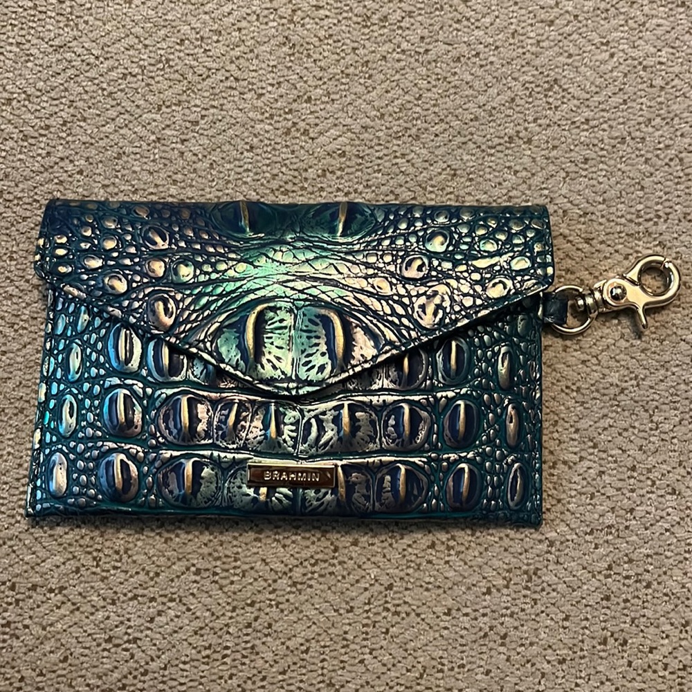 Brahmin Mask Case in Dragon